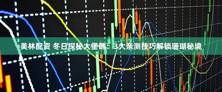 美林配资 冬日探秘大堡礁：3大亲测技巧解锁珊瑚秘境